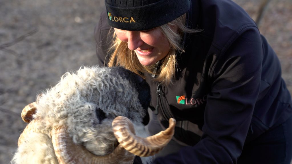 Agricultrice avec l'une des ses bêtes