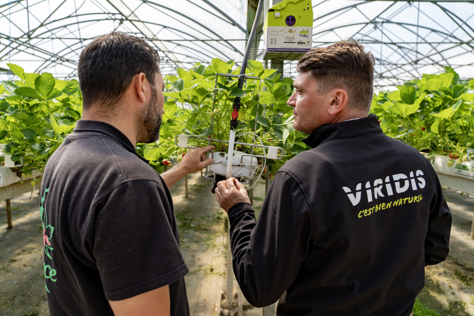 technicien viridis